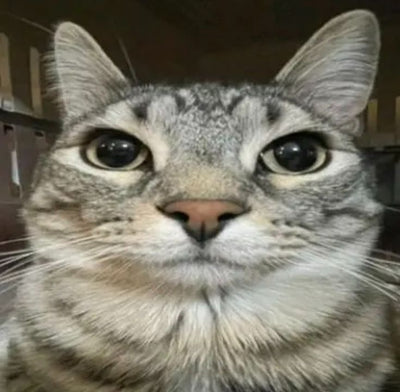 A Day on the Town with the Stanley All Day Collection